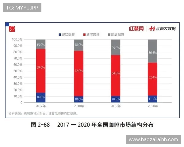 北京极限运动队的意识探讨与发展前景分析